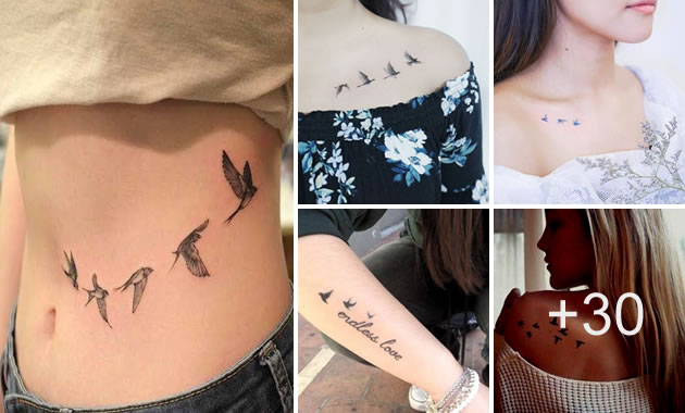 Ideas Tatuajes bellos de aves pequeÃ±as en diferentes estilos